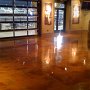 The_Jungle_at_Comerica_Park_Detroit_Seamless_epoxy (39)